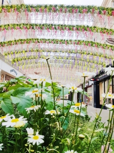 Beautiful Bath in Bloom